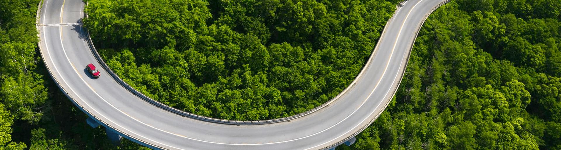 road in the forest